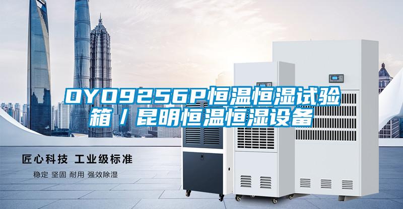 OYO9256P恒温恒湿试验箱／昆明恒温恒湿设备