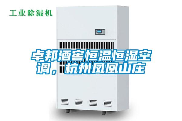 卓邦酒窖恒温恒湿空调，杭州凤凰山庄