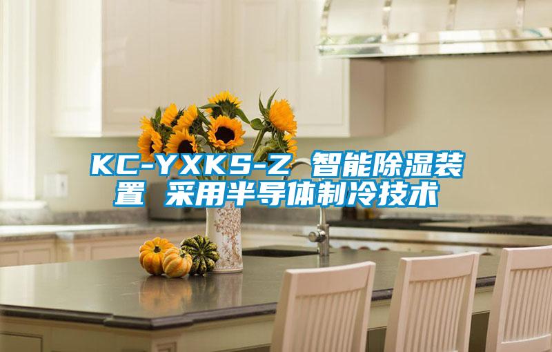 KC-YXKS-Z 智能除湿装置 采用半导体制冷技术