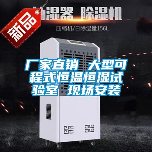 厂家直销 大型可程式恒温恒湿试验室 现场安装