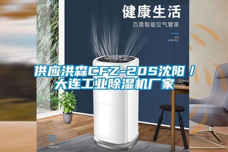 供应洪森CFZ-20S沈阳／大连工业宝马电子游戏娱乐