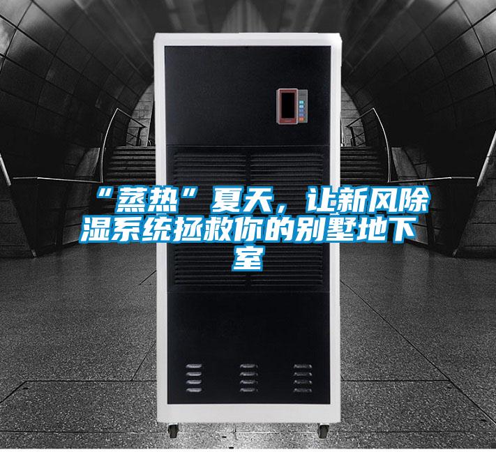 “蒸热”夏天，让新风除湿系统拯救你的别墅地下室