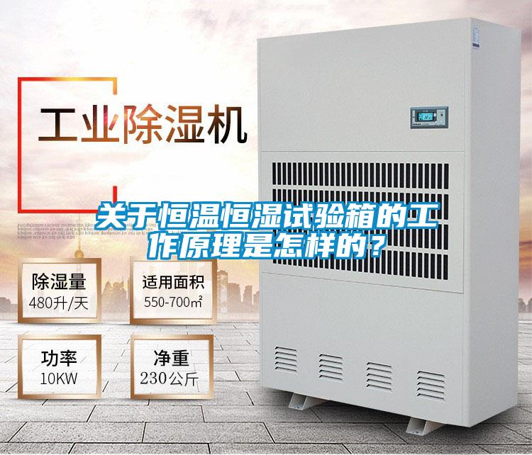 关于恒温恒湿试验箱的工作原理是怎样的？