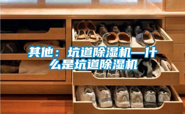 其他：坑道除湿机—什么是坑道除湿机