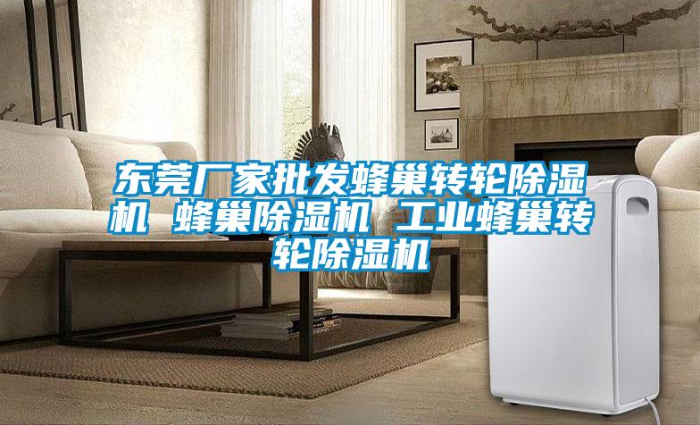 东莞厂家批发蜂巢转轮除湿机 蜂巢除湿机 工业蜂巢转轮除湿机