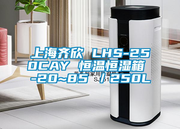 上海齐欣 LHS-250CAY 恒温恒湿箱 -20~85℃／250L