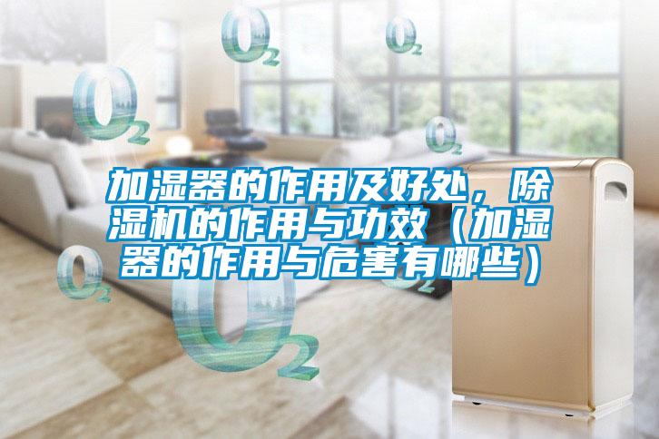 加湿器的作用及好处，除湿机的作用与功效（加湿器的作用与危害有哪些）