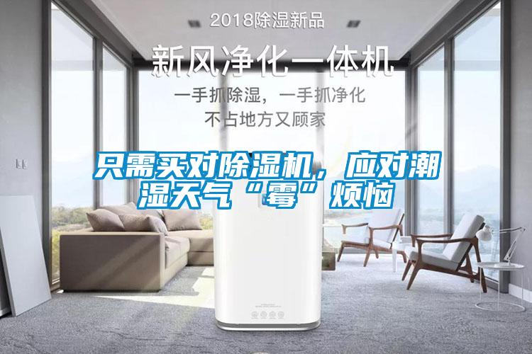 只需买对除湿机，应对潮湿天气“霉”烦恼