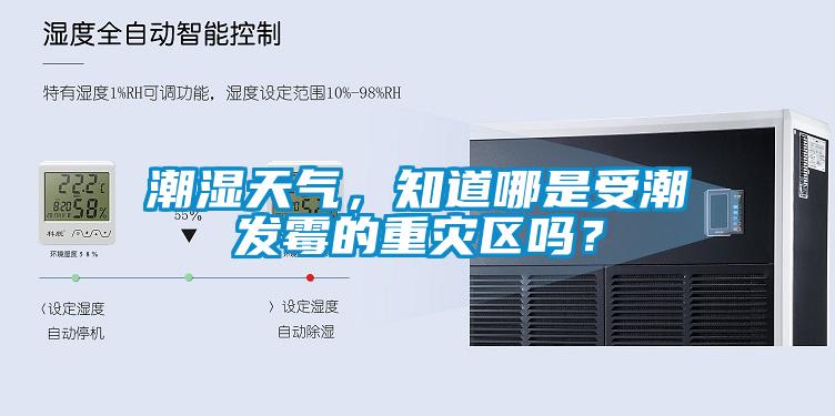 潮湿天气，知道哪是受潮发霉的重灾区吗？