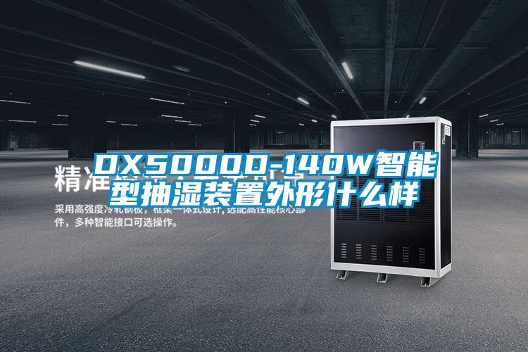 DX5000D-140W智能型抽湿装置外形什么样