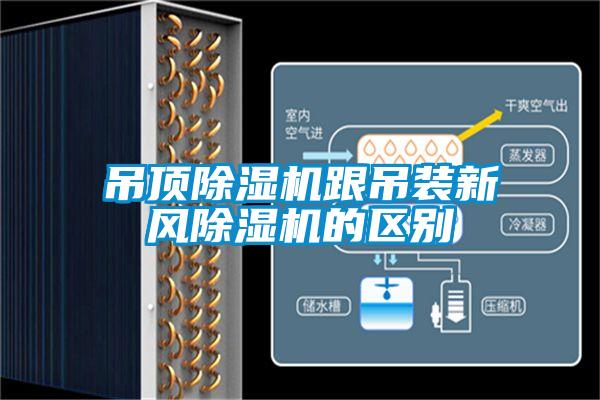 吊顶除湿机跟吊装新风除湿机的区别