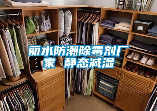 丽水防潮除霉剂厂家 静态减湿