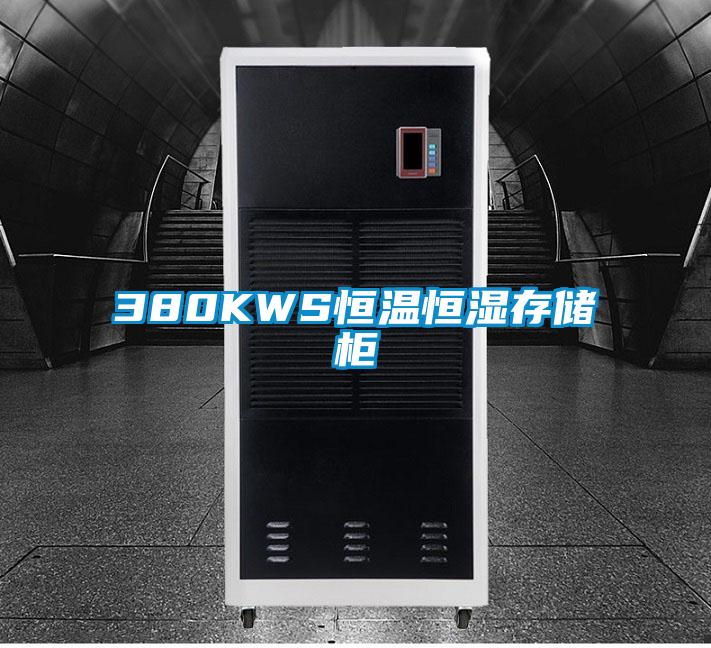 380KWS恒温恒湿存储柜