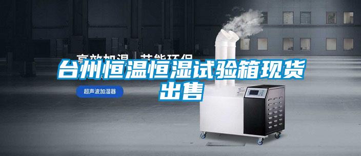 台州恒温恒湿试验箱现货出售