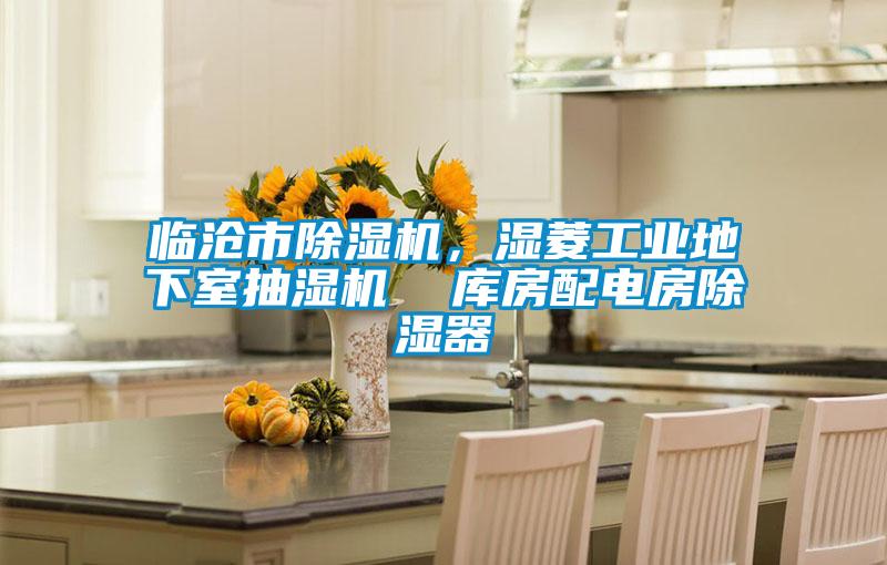 临沧市除湿机，湿菱工业地下室抽湿机  库房配电房除湿器