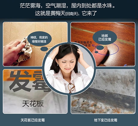 从五方面解读宝马电子游戏平台网址、转轮除湿机设备