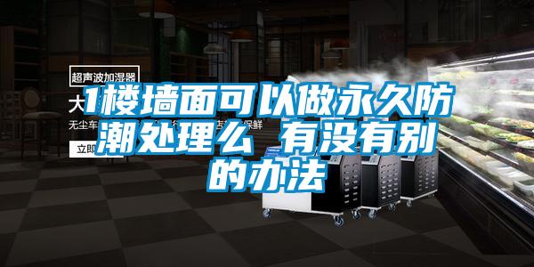 1楼墙面可以做永久防潮处理么 有没有别的办法