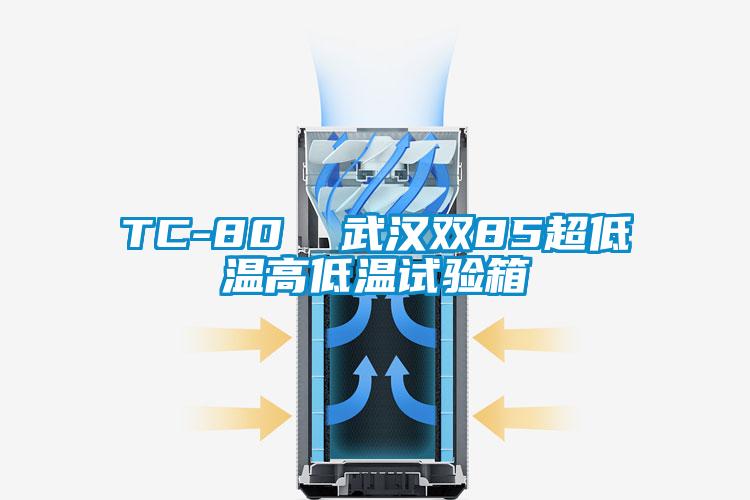 TC-80  武汉双85超低温高低温试验箱