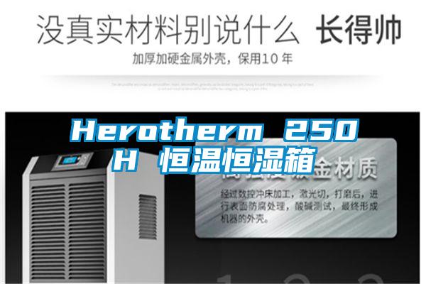 Herotherm 250H 恒温恒湿箱