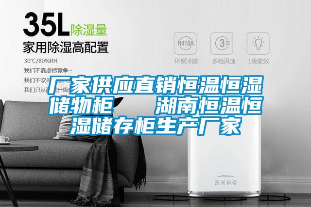 厂家供应直销恒温恒湿储物柜   湖南恒温恒湿储存柜生产厂家