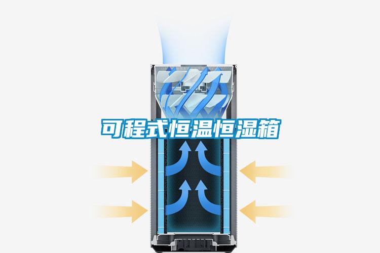 可程式恒温恒湿箱