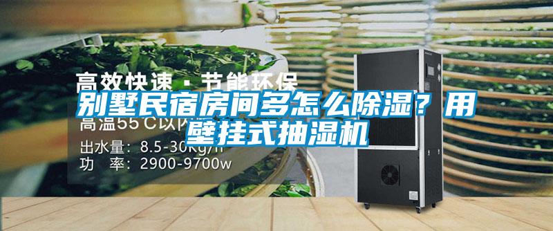 别墅民宿房间多怎么除湿？用壁挂式抽湿机