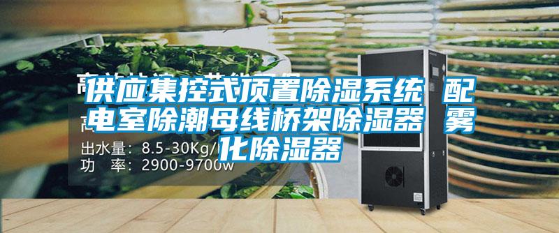 供应集控式顶置除湿系统 配电室除潮母线桥架除湿器 雾化除湿器