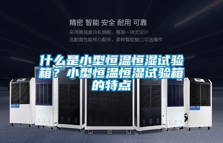 什么是小型恒温恒湿试验箱？小型恒温恒湿试验箱的特点