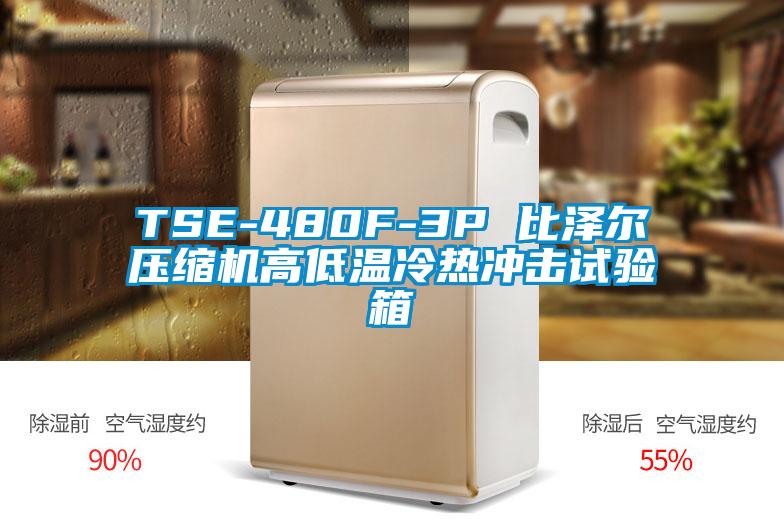 TSE-480F-3P 比泽尔压缩机高低温冷热冲击试验箱