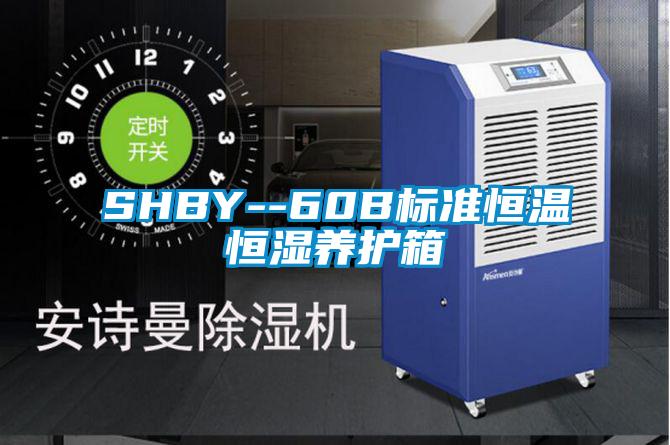SHBY--60B标准恒温恒湿养护箱