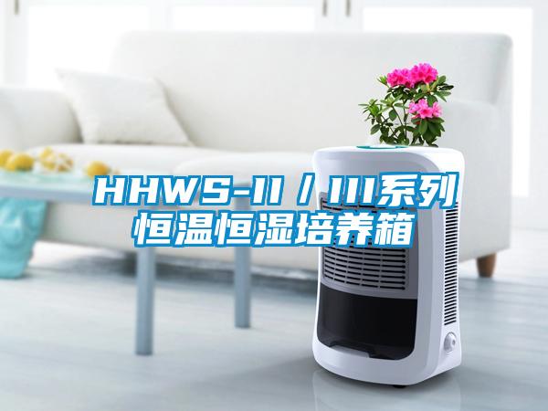 HHWS-II／III系列恒温恒湿培养箱