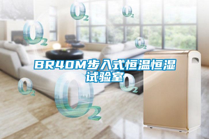 BR40M步入式恒温恒湿试验室