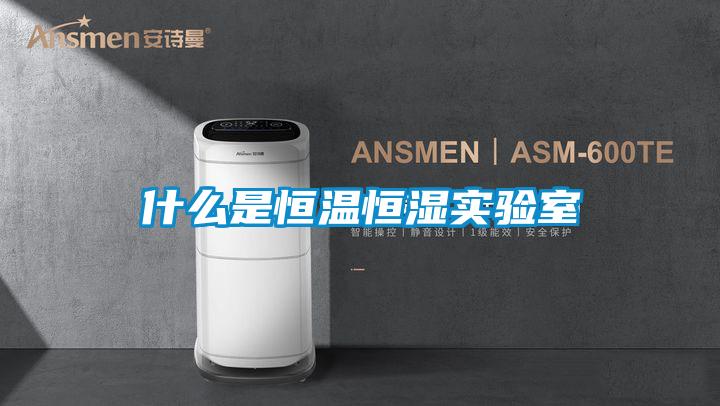 什么是恒温恒湿实验室
