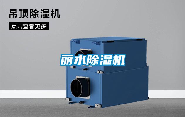 丽水除湿机