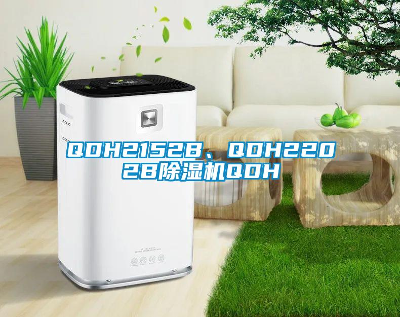 QDH2152B、QDH2202B除湿机QDH