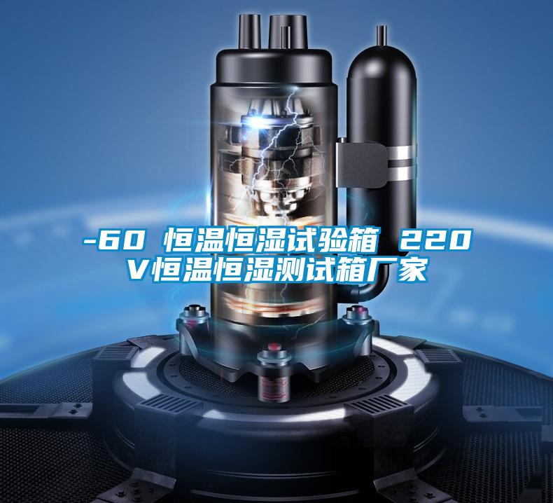 -60℃恒温恒湿试验箱 220V恒温恒湿测试箱厂家