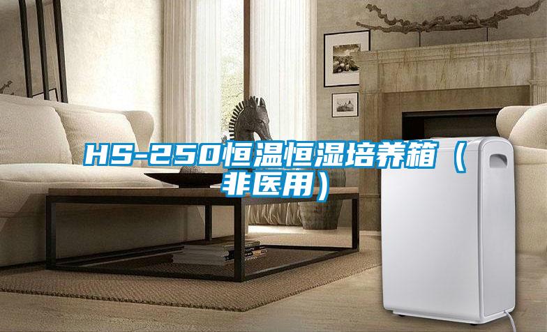 HS-250恒温恒湿培养箱（非医用）