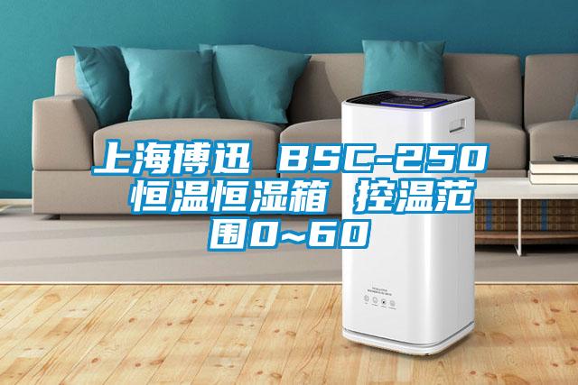 上海博迅 BSC-250 恒温恒湿箱 控温范围0~60℃