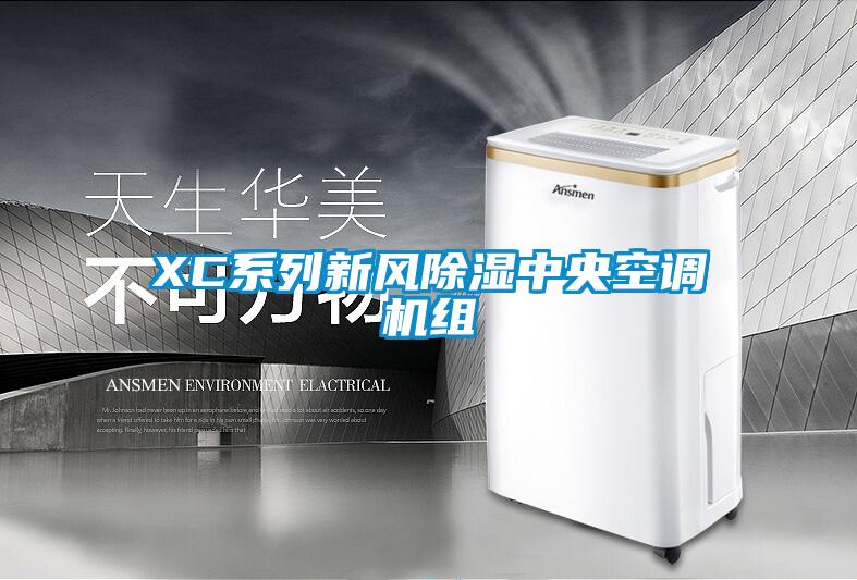 XC系列新风除湿中央空调机组