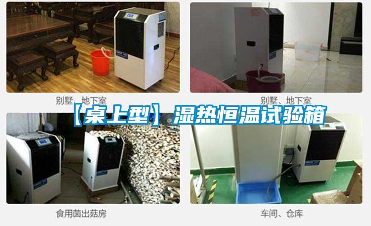 【桌上型】湿热恒温试验箱