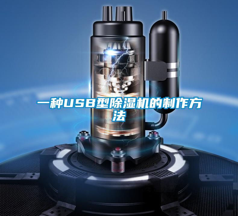 一种USB型除湿机的制作方法