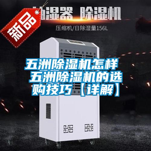 五洲除湿机怎样 五洲除湿机的选购技巧【详解】