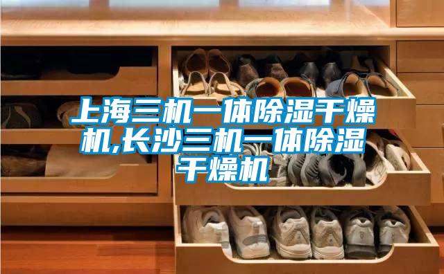 上海三机一体除湿干燥机,长沙三机一体除湿干燥机