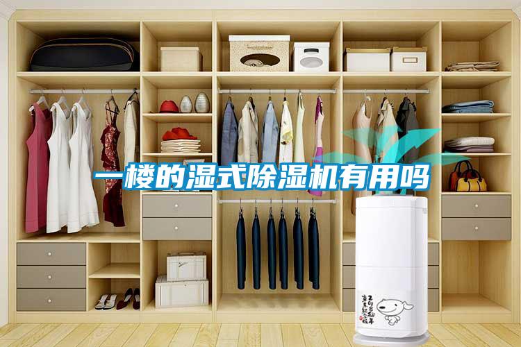 一楼的湿式除湿机有用吗