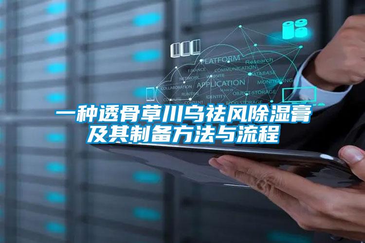 一种透骨草川乌祛风除湿膏及其制备方法与流程