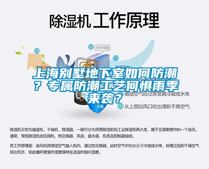 上海别墅地下室如何防潮？专属防潮工艺何惧雨季来袭？