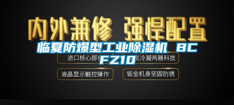 临夏防爆型宝马电子游戏平台网址 BCFZ10