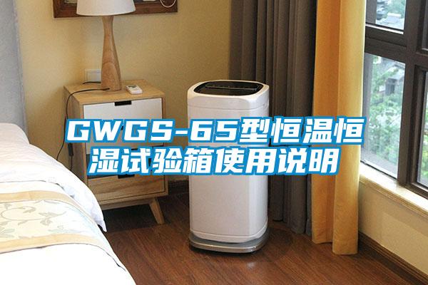GWGS-65型恒温恒湿试验箱使用说明