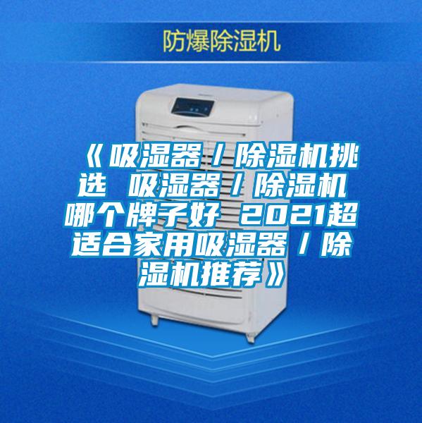 《吸湿器／除湿机挑选 吸湿器／除湿机哪个牌子好 2021超适合家用吸湿器／除湿机推荐》