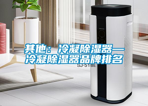 其他：冷凝除湿器—冷凝除湿器品牌排名